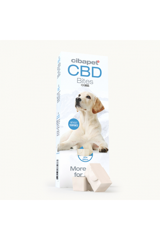 CBD-Koiranherkut