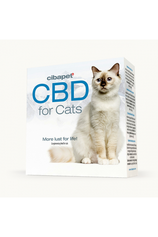 CBD-Pastilit Kissoille