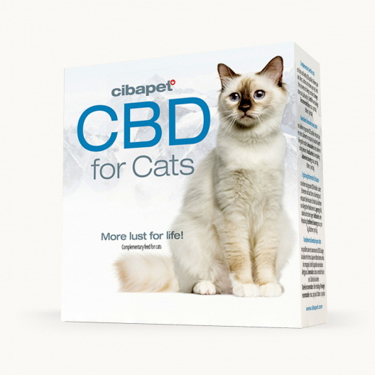 CBD-Pastilit Kissoille