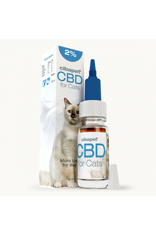 CBD-Öljy Kissoille 2 %