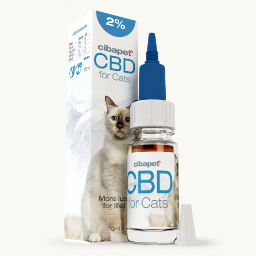 CBD-Öljy Kissoille 2 %