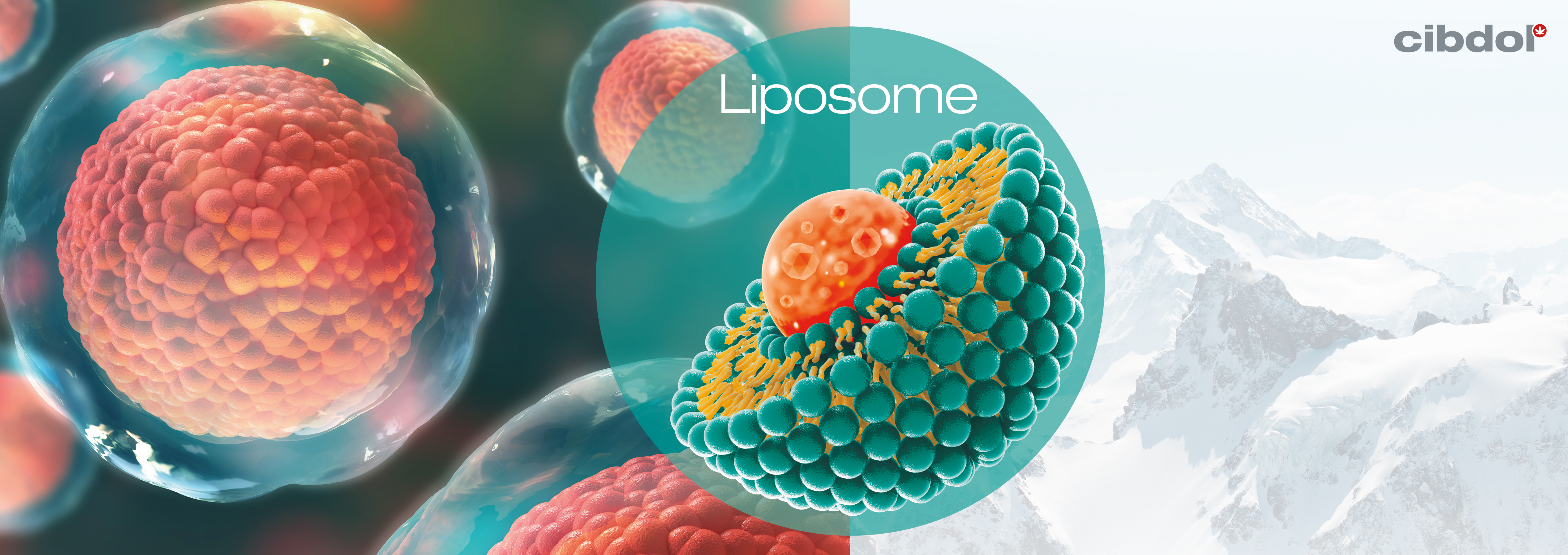 Liposomit