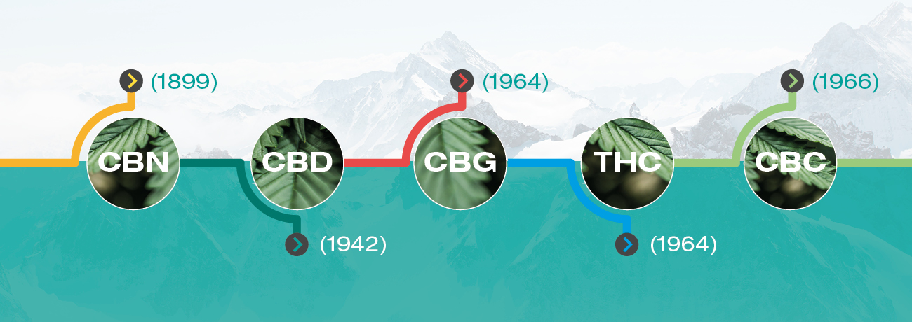 Milloin Kannabinoidit Löydettiin?