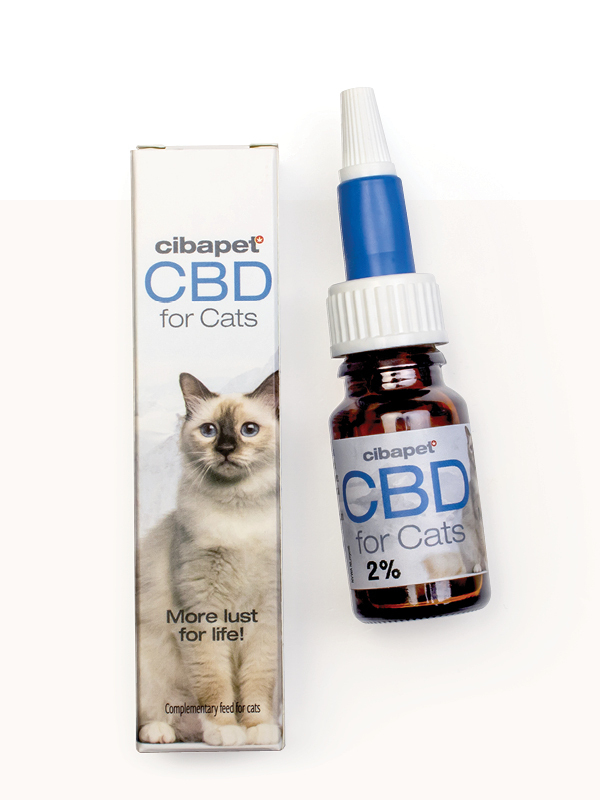 CBD Kissoille