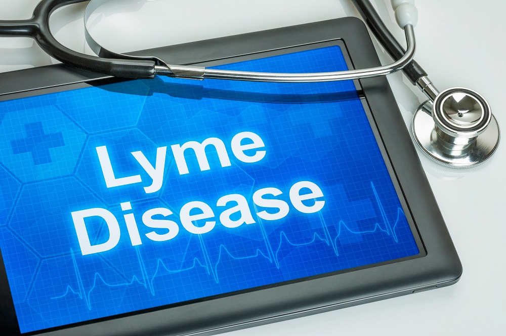 Voisiko CBD auttaa Lymen taudin kanssa?