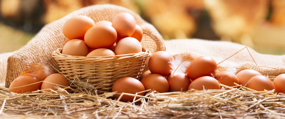 Kuinka paljon proteiinia kananmunassa on?